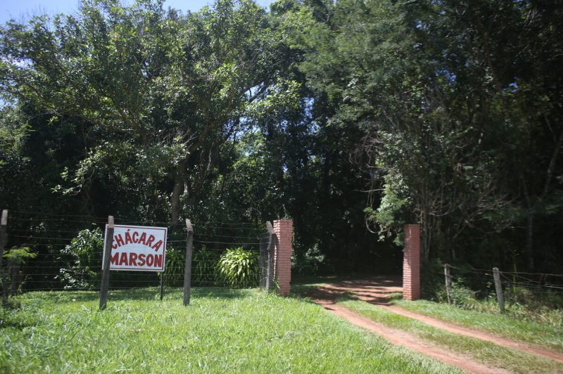 mata nativa
