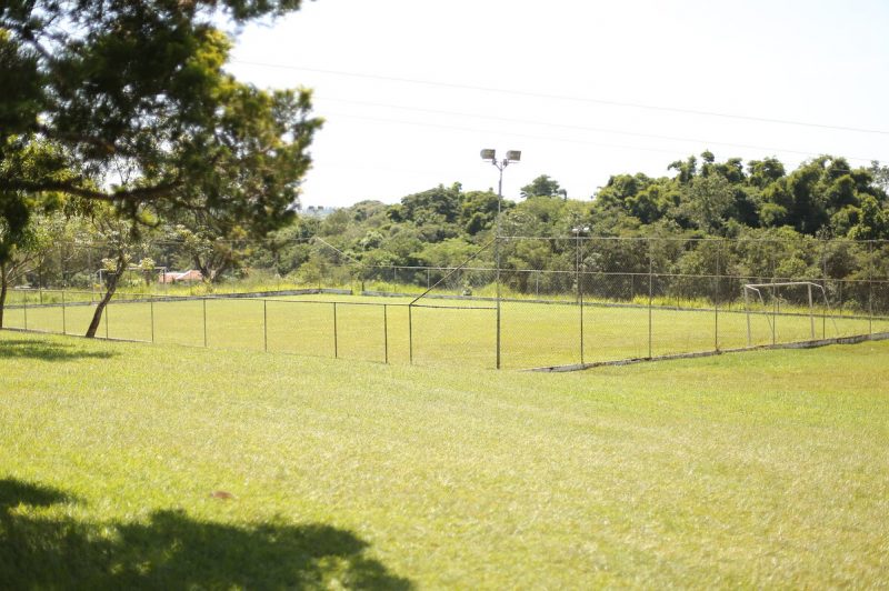 campo