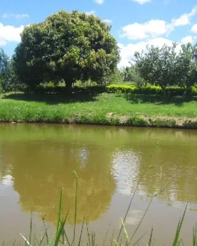 fotos da chacará manson (17)